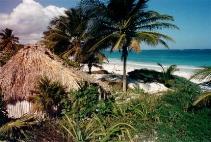 Etats du Yucatan et Quintana Roo (20 au 23 Dcembre 2003)